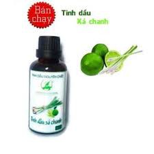 inh Dầu Thiên Nhiên Nguyên Chất Lọ 100ml - Tinh dầu thơm phòng đuổi muỗi hiệu quả