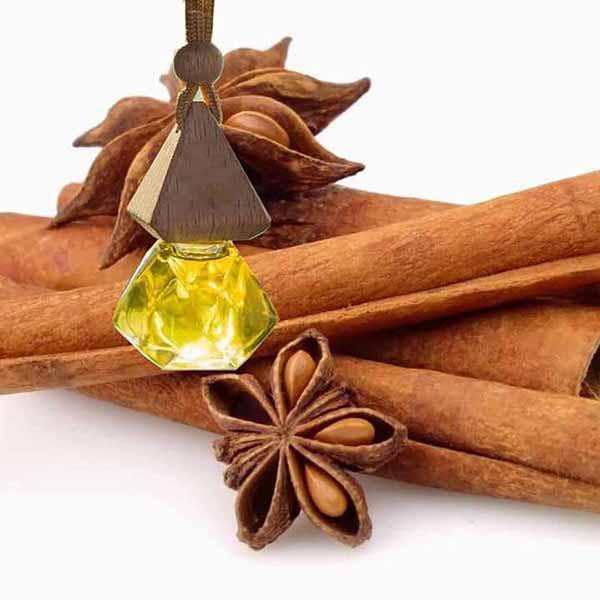 Tinh Dầu Treo Xe Ô Tô – Giúp Khử Mùi – Hơn Cả Sự Đẳng Cấp : Bạc Hà , Sả Chanh , Quế , Chàm