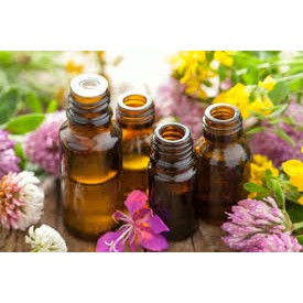 Combo 4 Tinh Dầu Tặng 1 Lọ Tinh Dầu ( Có Thể Chọn Mùi )Hoặc nhẫu nhiên.