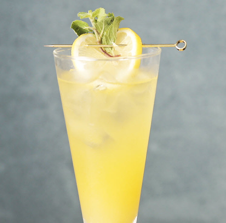 Cây xiên trái cây trang trí cocktail inox Barx BX032